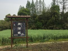 -杏花村文化旅游区
