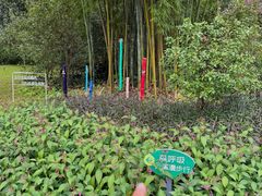 -云溪植物园