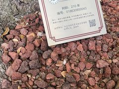 -西湖游船