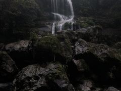-龙苍沟森林公园