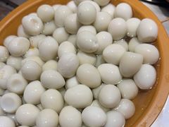 -龍歌自助小火锅(秦淮水游城店)
