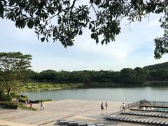 -东莞植物园