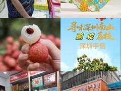 -鹏城八珍深圳特产手信(罗湖店)
