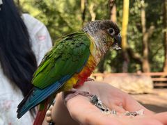 -普洱太阳河森林公园