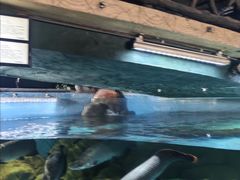 -苏州海洋馆
