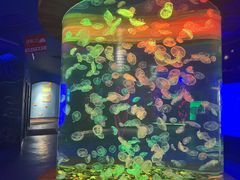 -多彩贵州城极地海洋世界