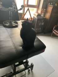 -杨卓刺青工作室·YZ STUDIO