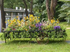 -云溪植物园
