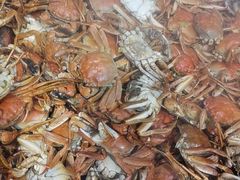 -圣罗巴甄选自助(麦凯乐店)