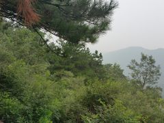 -山叶口景区