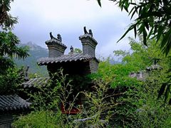 -老张烤羊(王哥庄店)