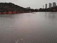 -南翠屏公园