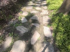 -昆山城市生态森林公园