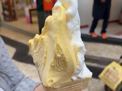 -柠檬车露(卖草地店)