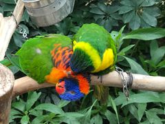 -南宫五洲植物乐园