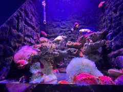 -石林冰雪海洋世界