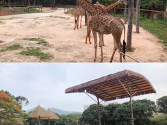 -深圳野生动物园