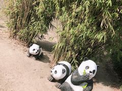 -亚龙湾国际玫瑰谷