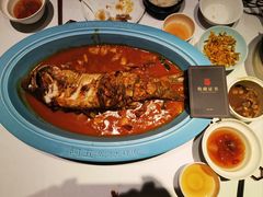 -阿五黄河大鲤鱼(英协路店)