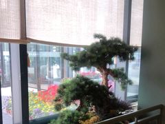 -潮上潮(南中环店)