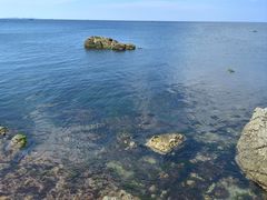 -养马岛旅游度假区