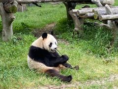 -宁波野生动物园