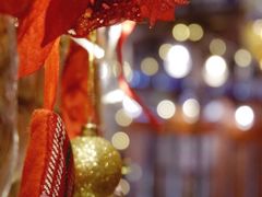 -玛格萝妮(汇智国际商业中心店)