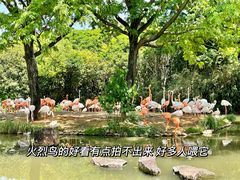 -上海野生动物园