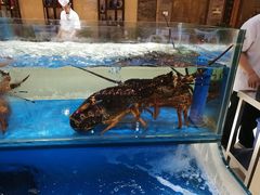 -保定会馆(秀兰店)