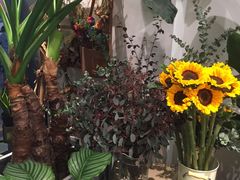 -植物学家的女儿(北马道巷店)