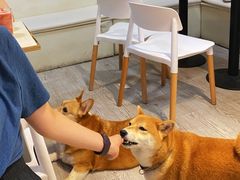 -小时光咖啡馆(北锣鼓巷店)