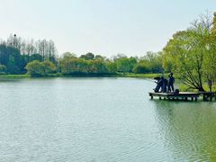 -苏州太湖国家湿地公园