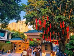 -荔湾湖公园