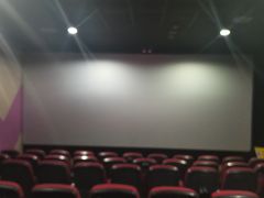 -完美世界影城(天津迎宾店)