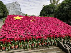 -南山植物园