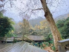 -青城山