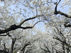 -江苏三台山国家森林公园