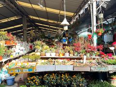 -曲阳花鸟市场(曲阳路店)