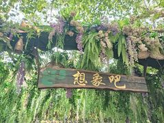 -野象谷景区