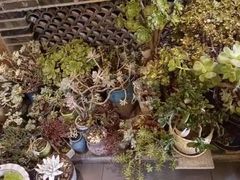 -盛和友·大院炒鸡(平度青岛路店)