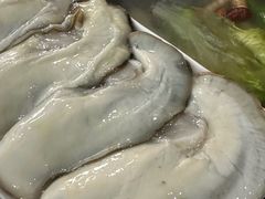 -濠轩阁特色生蚝火锅(水湾路店)