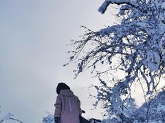-太子岭滑雪场