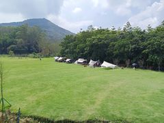 -黄埔油麻山森林公园