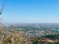 -北京西山国家森林公园