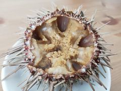 -海胆小馆(东北水饺·春柳店)