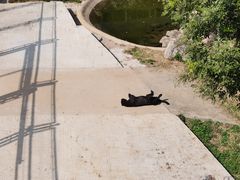 -石家庄市动物园