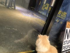 -中央广播电视总台(光华路办公区)