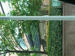 android_upload_pic-上海璞麗酒店