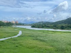 -风云岭森林公园
