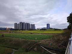 -光明小镇欢乐田园